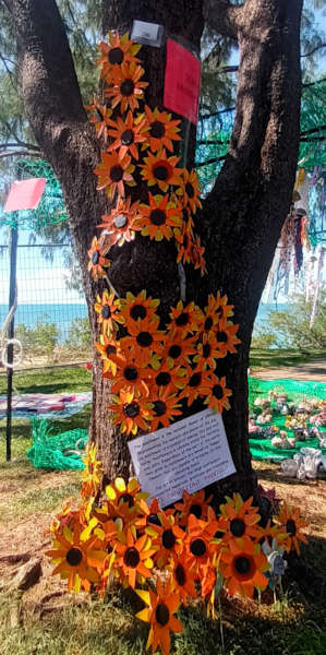 Dripstone Middle School Entry