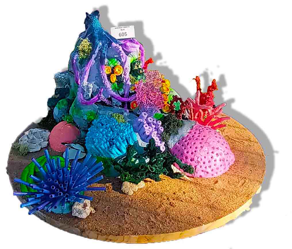 Elijah - Individual Under 16 years First Place