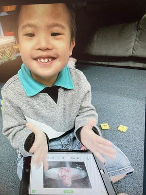  Computer Aided Learning for Down Syndrome Students