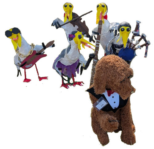 Millner Primary - Primary Schools First Place